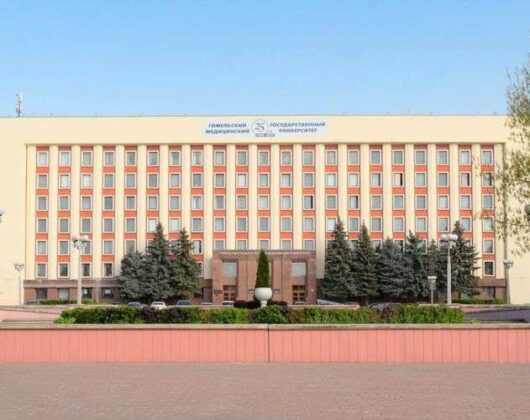 Minsk Eğitim Dünyası